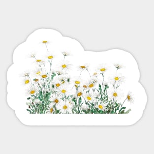 white daisy horizontal Sticker